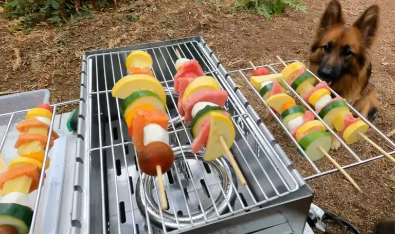 Premade camping meals - veggie skewers being cooked on a camp stove with a German Shepherd begging in the background.